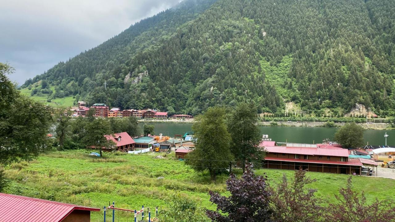 Ayguen Hotel&bungalow Hotel Uzungöl